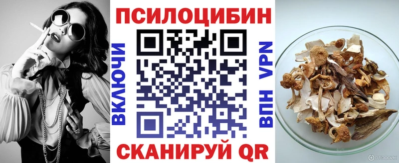 магазин  наркотиков  Исилькуль  Галлюциногенные грибы Psilocybe 